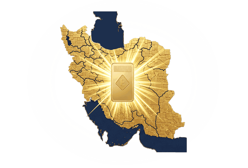 هم سرمایه گذار